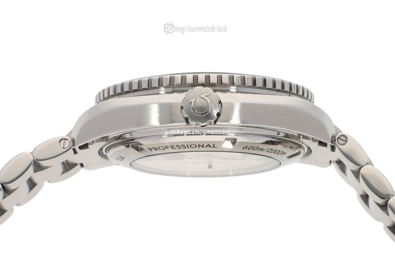 Omega Seamaster Planet Ocean Mens watch Unisex Automatic Steel 232.30.46.21.01.003 4