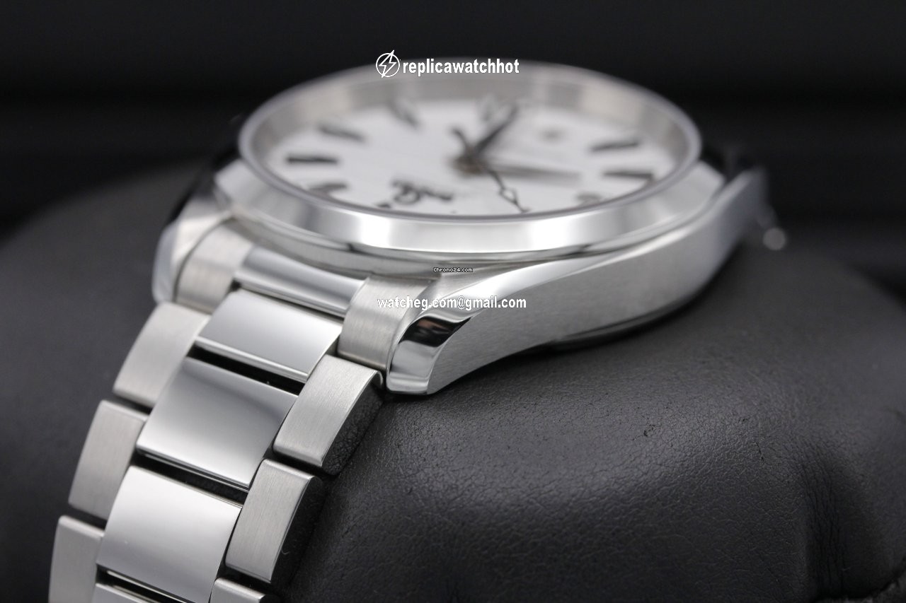 Omega Seamaster Aqua Terra Steel 220.10.38.20.02.001 4