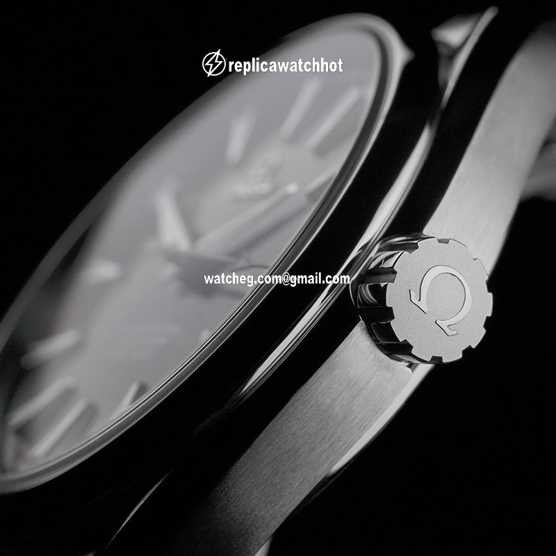 Omega Seamaster Aqua Terra Mens watch Unisex Steel 231.10.42.21.01.004 4