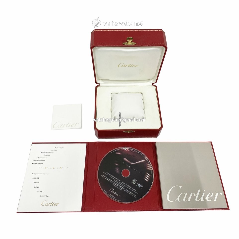 Cartier Santos 100 Mens watch Unisex Automatic Steel 100 W20073X8 4