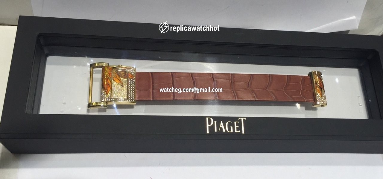 Piaget Protocole P10316 4