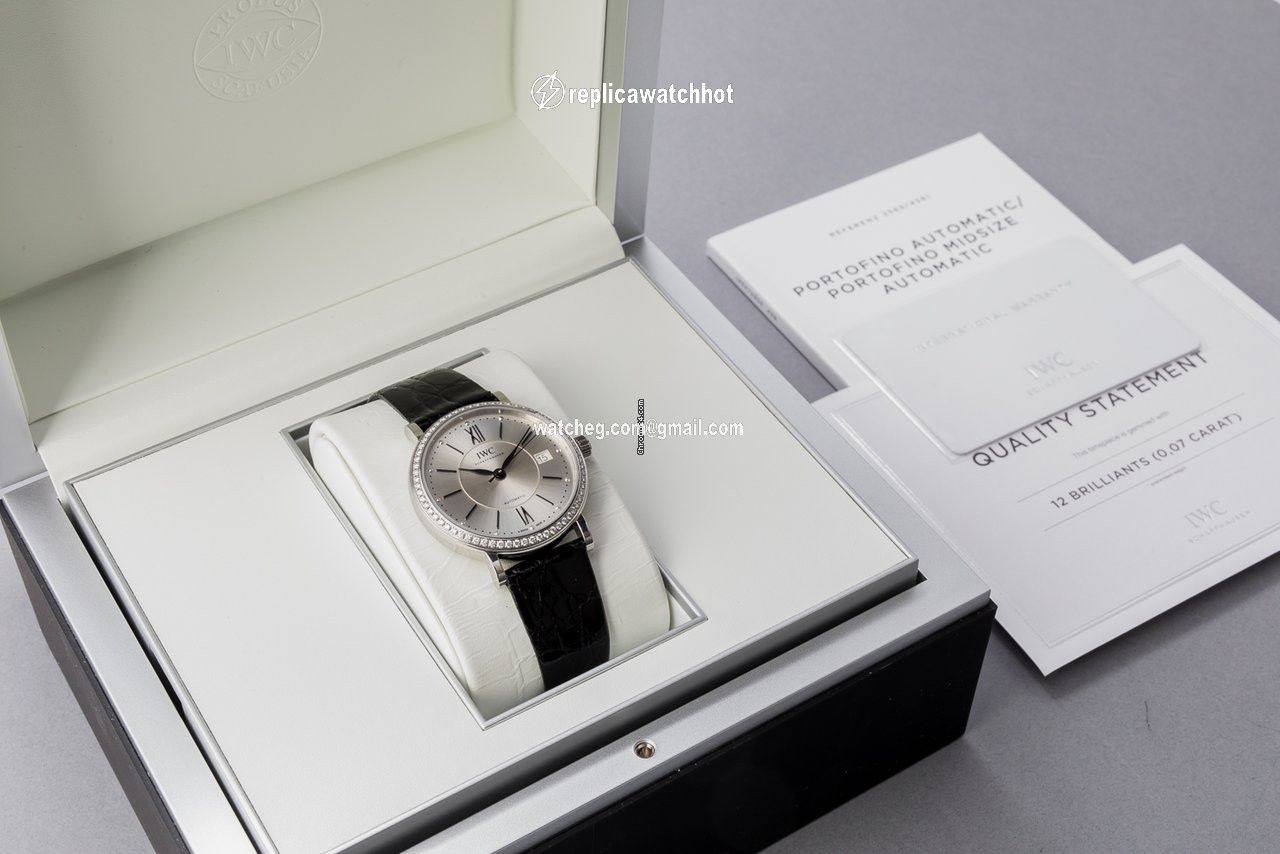 IWC Portofino Automatic Mens watch Unisex Automatic Steel IW458109 5