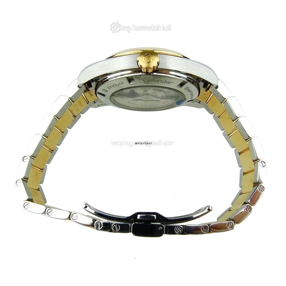 Omega Seamaster Aqua Terra Mens watch Unisex Automatic Gold Steel 231.20.43.22.46.002 5