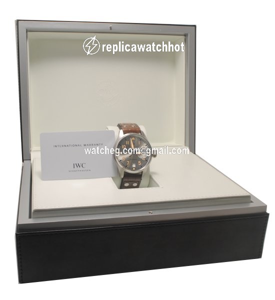 IWC Big Pilot Mens watch Unisex Automatic Platinum IW500413 5