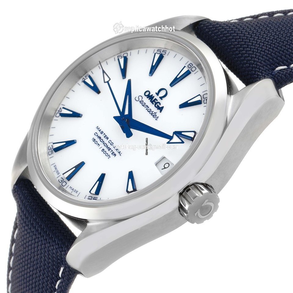 Omega Seamaster Aqua Terra Mens watch Unisex Automatic Titanium 231.92.39.21.04.001 5