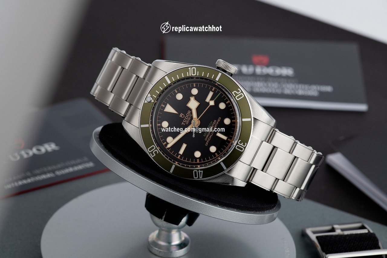Tudor Black Bay Automatic Steel 79230G 5