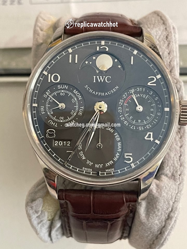 IWC Portuguese Perpetual Calendar Mens watch Unisex Automatic White gold 502218 5
