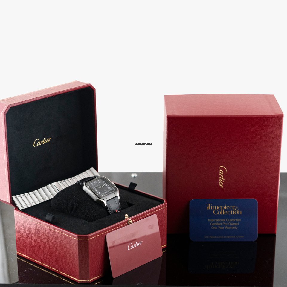 Cartier Santos Automatic Steel WSSA0037 5
