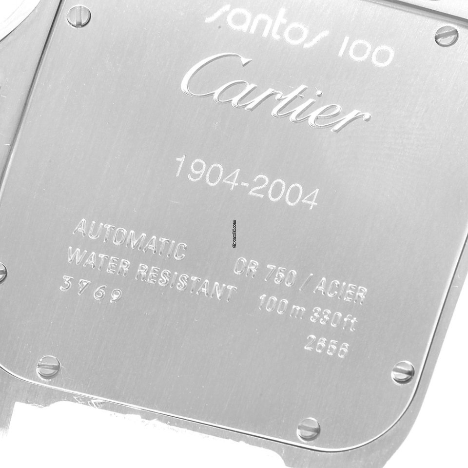 Cartier Santos 100 Mens watch Unisex Automatic Steel W20072X7 6