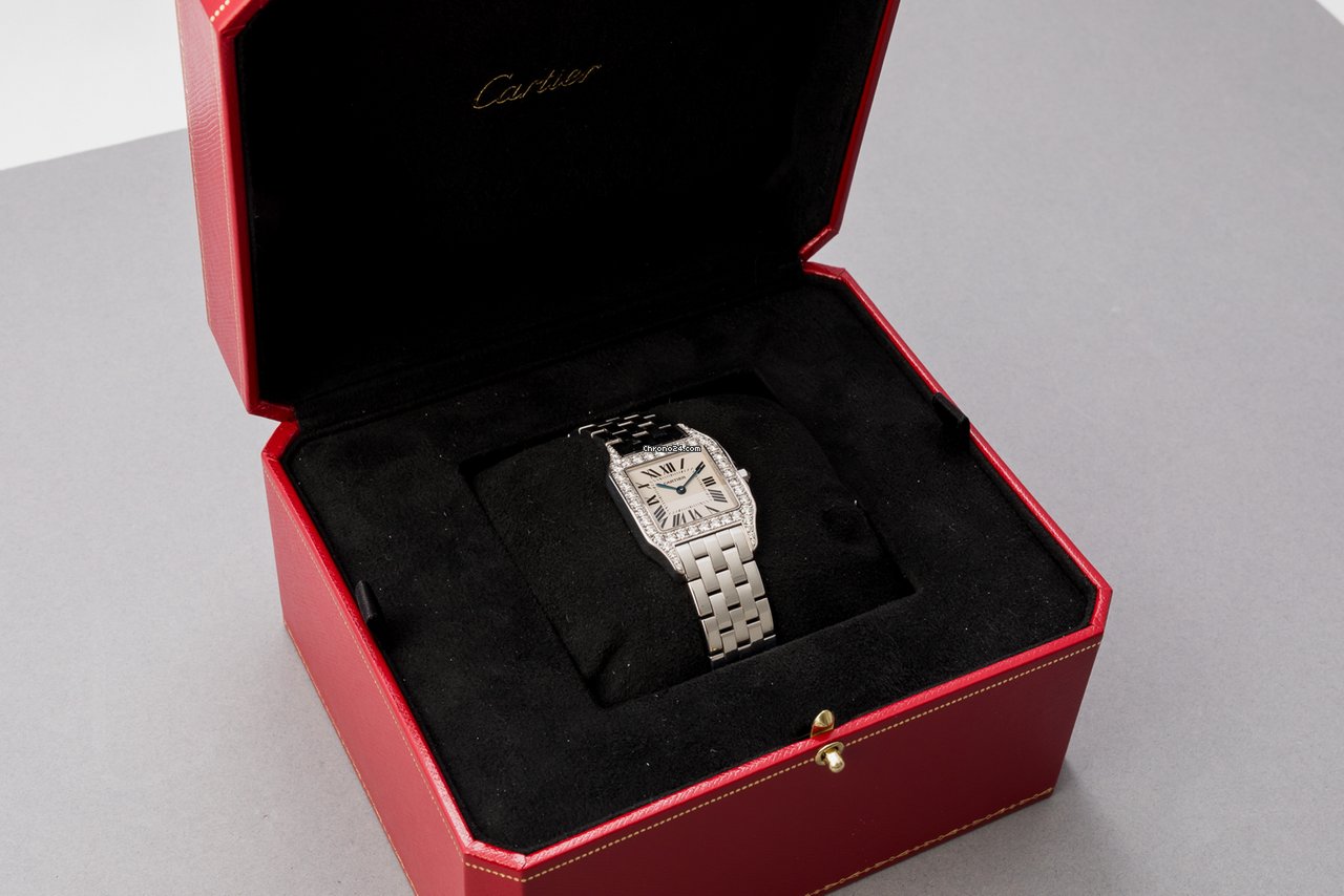 Cartier Santos Demoiselle Womens watch Quartz White gold WF9003Y8 6