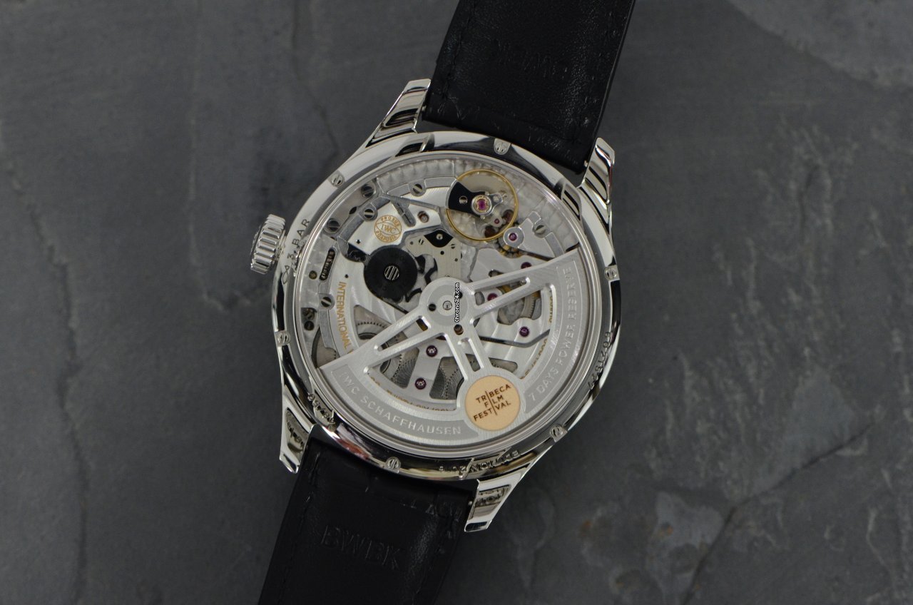 IWC Portuguese Annual Calendar Mens watch Unisex Automatic Steel IW503506 6