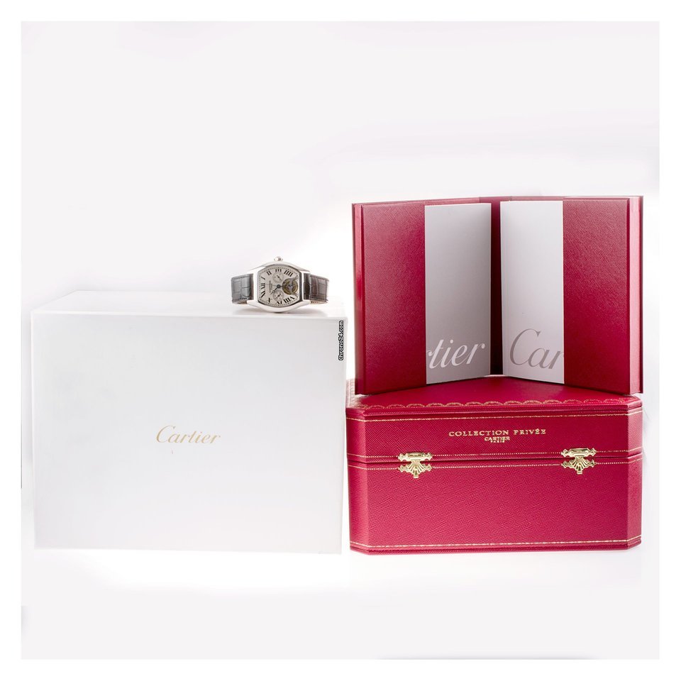 Cartier Tortue Mens watch Unisex Manual winding Platinum W1545751 7