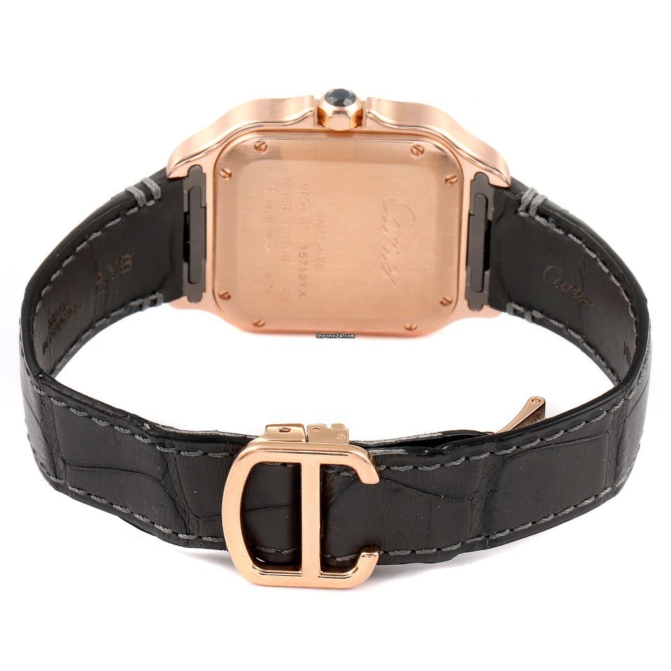 Cartier Santos Mens watch Unisex Automatic WGSA0012 7