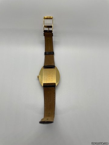 Omega Seamaster Mens watch Unisex Automatic Yellow gold 166.026 7