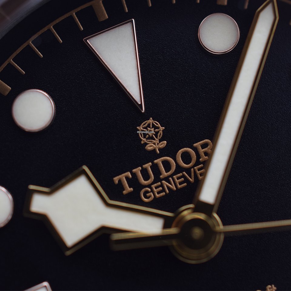 Tudor Black Bay Mens watch Unisex Automatic Steel 79220R 7