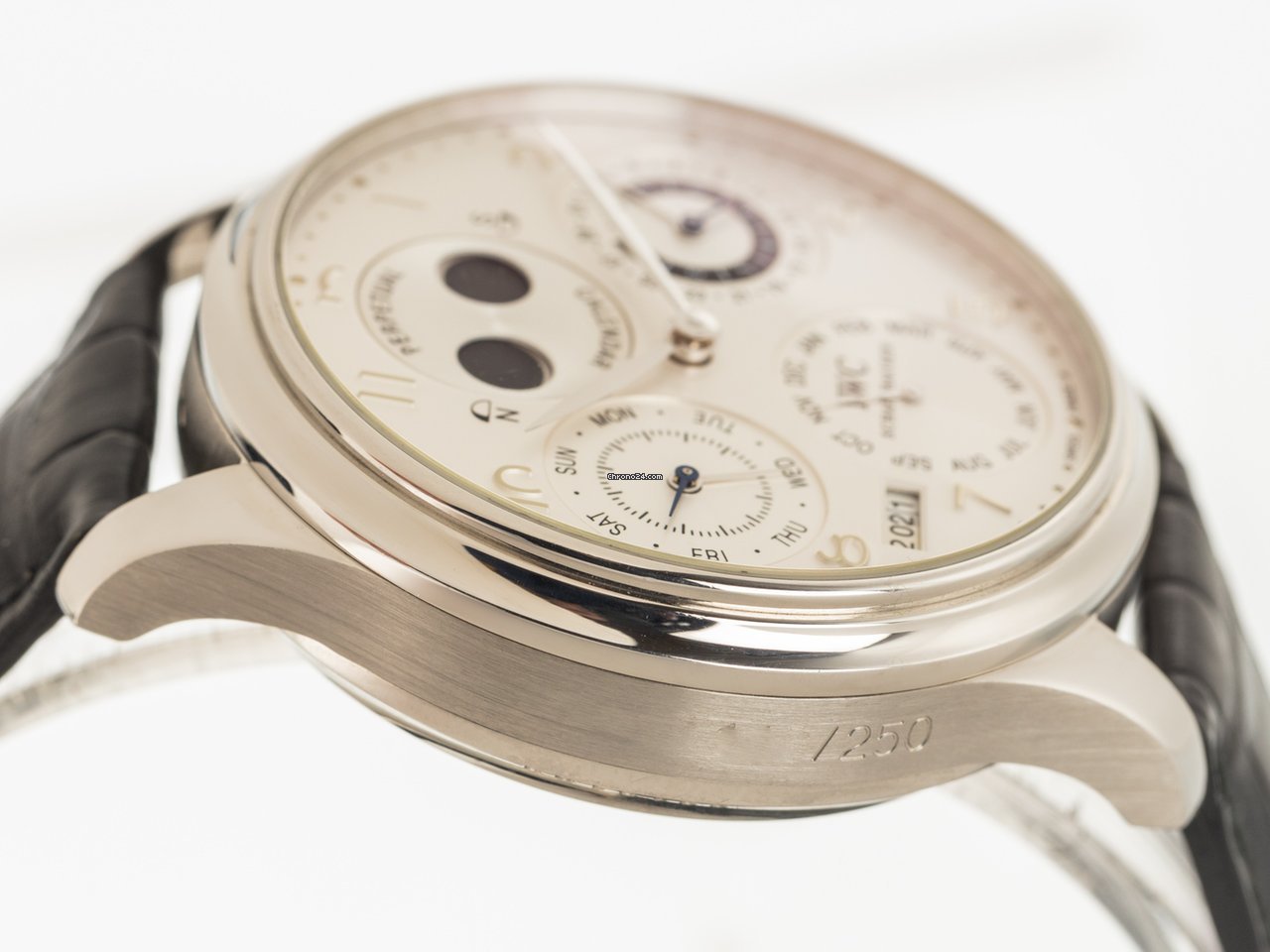 IWC Portuguese Perpetual Calendar Mens watch Unisex Automatic Platinum IW502111 7