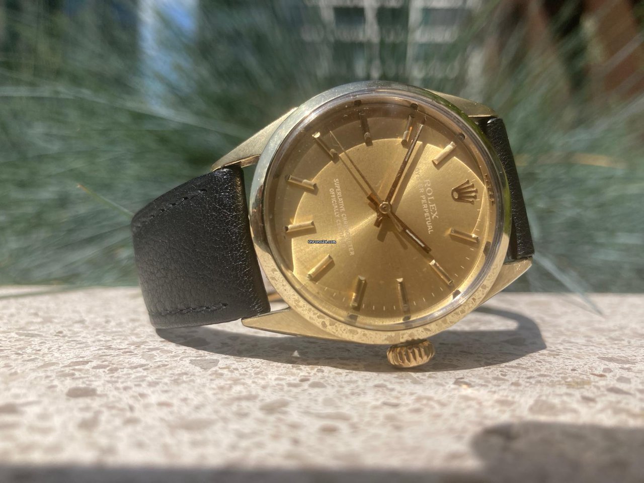 Rolex Oyster Perpetual 34 Mens watch Unisex Gold Steel Automatic 1024