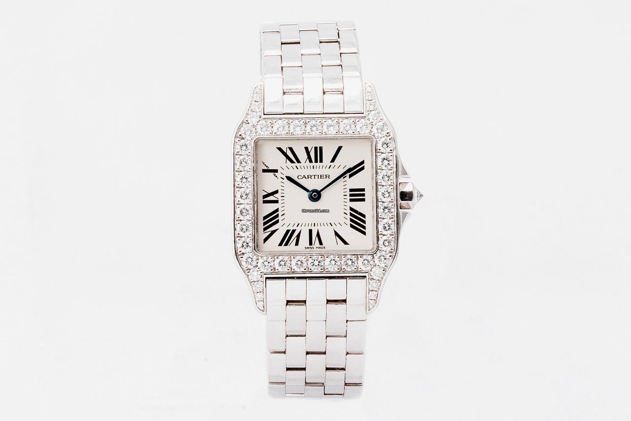 Cartier Santos Demoiselle Womens watch Quartz White gold WF9003Y8