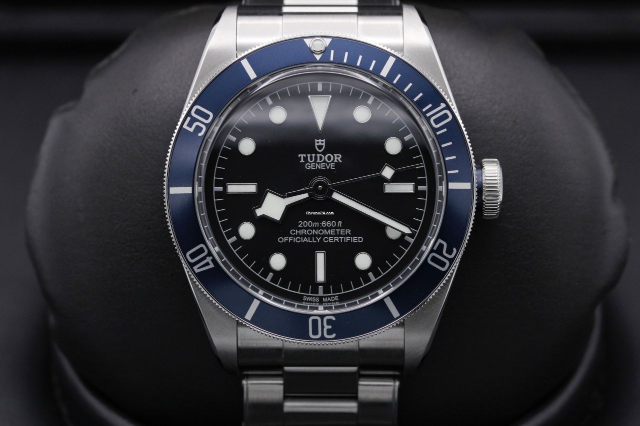 Tudor Black Bay Steel 79230