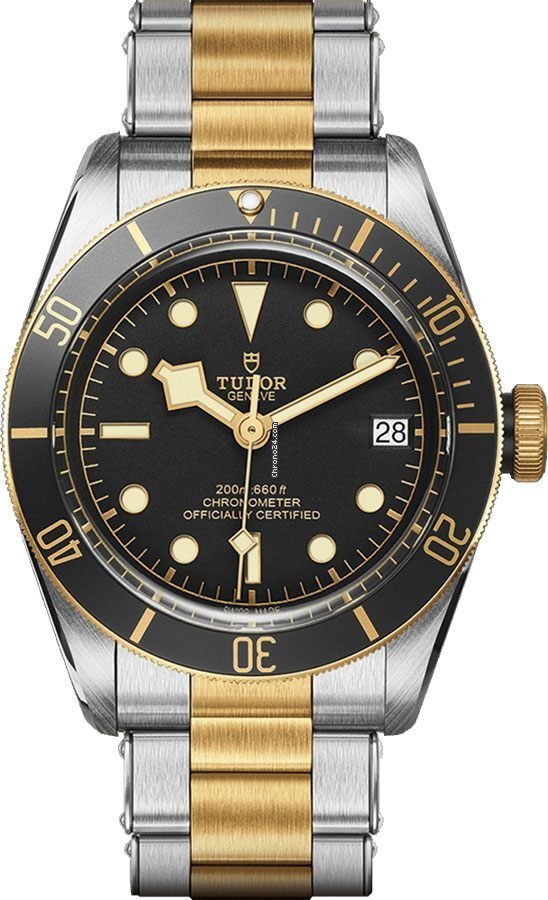 Tudor Black Bay S&G Mens watch Unisex Automatic Steel M79733N-0002