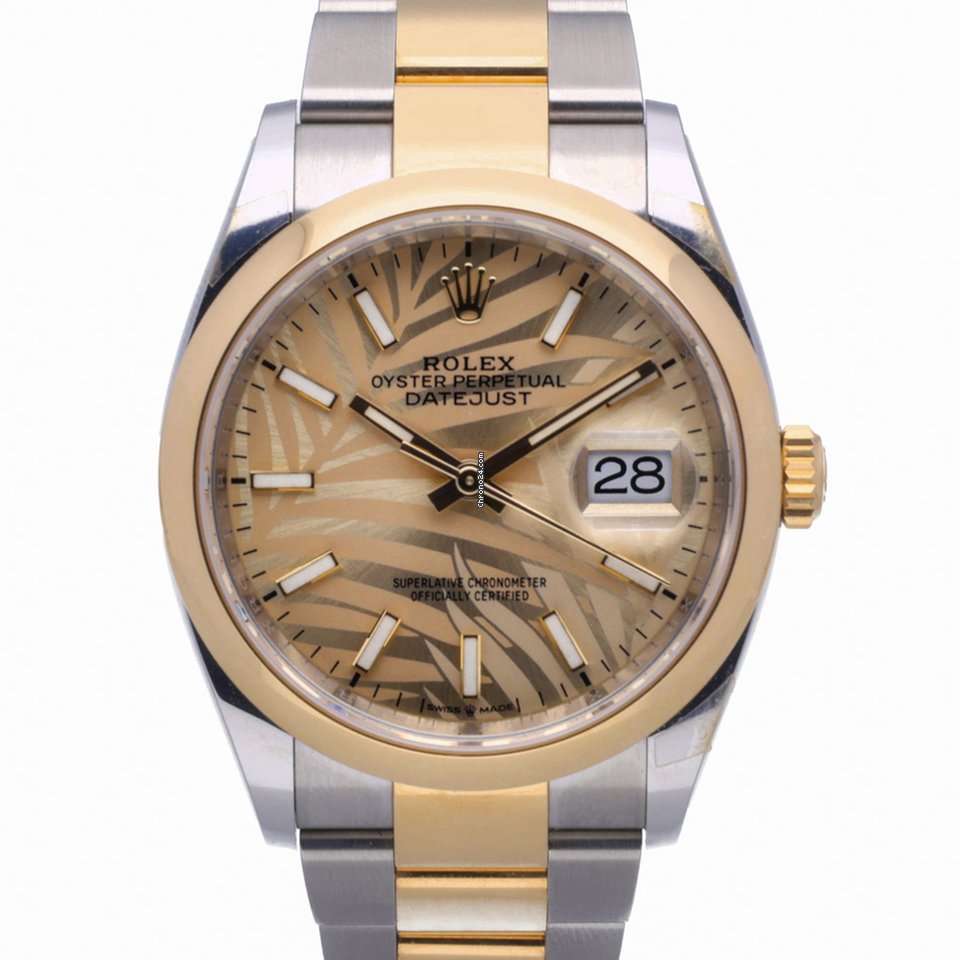 Rolex Datejust 36 Mens watch Unisex Gold Steel Automatic 126203